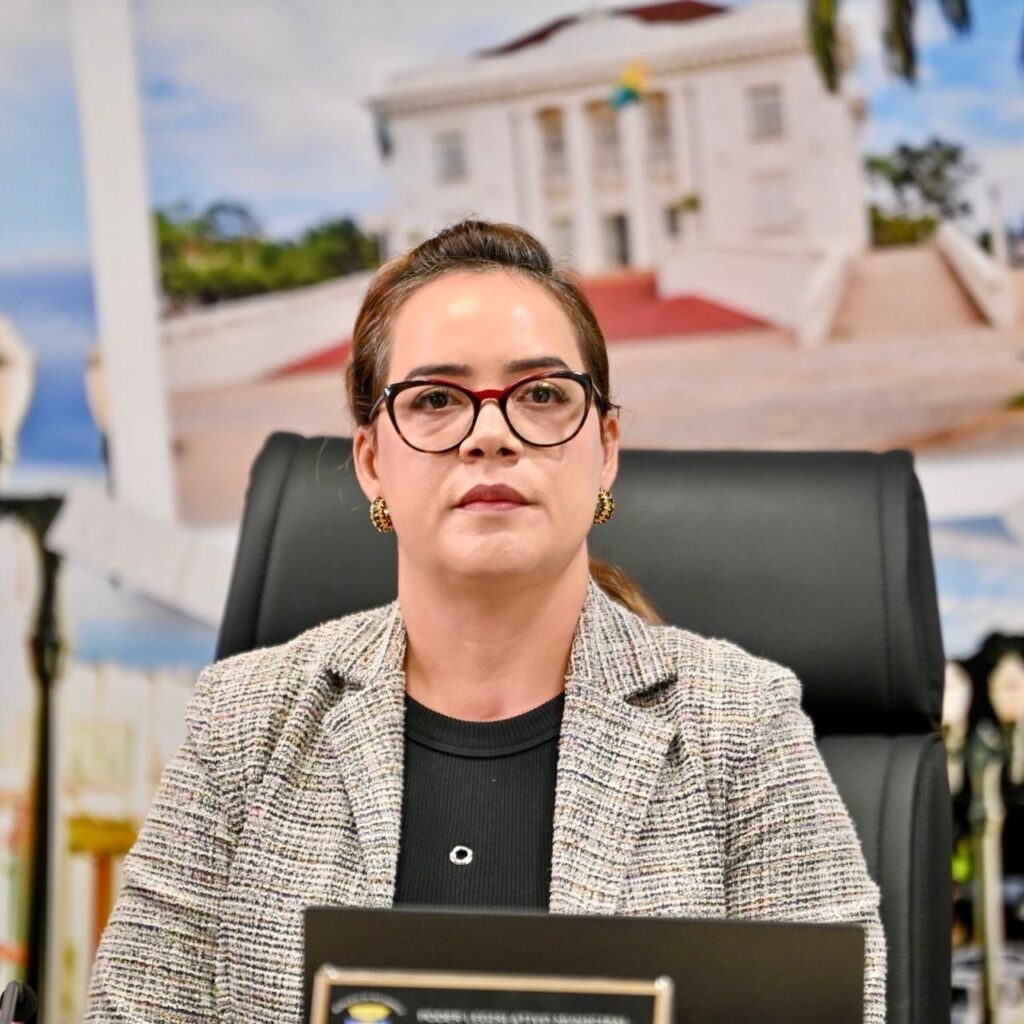 Câmara aprova PL da vereadora Lucilene que prevê cartazes com vídeo educativo para combater violência contra a mulher